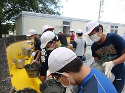 6年生 プール清掃 磐田市立青城小学校