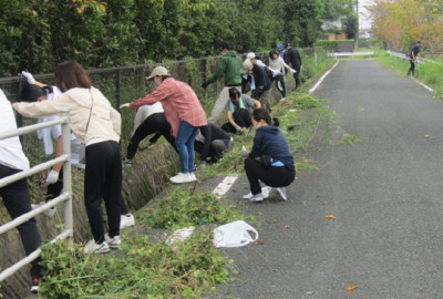 5 西道路 草刈り